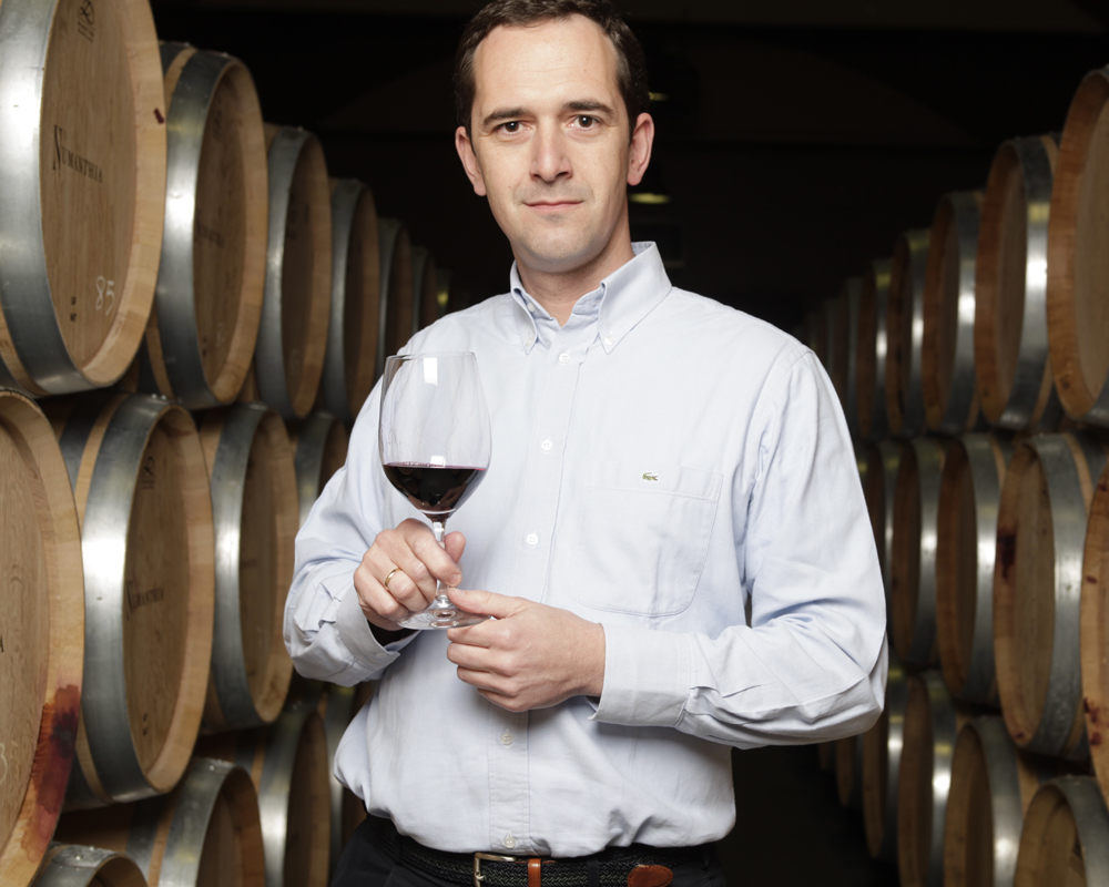 Bodegas Numanthia