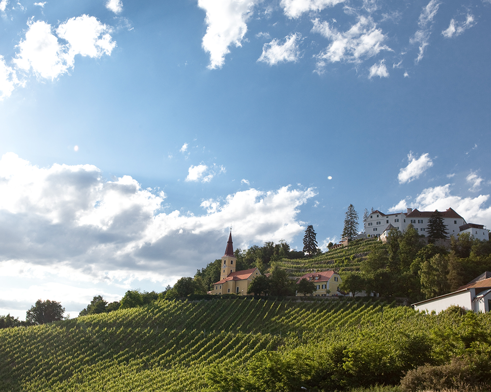 Weinbau im Vulkanland Steiermark
