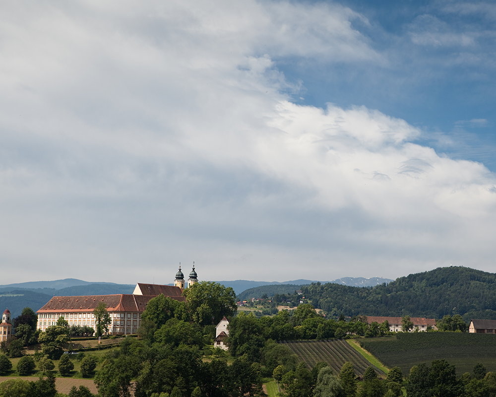 Weinbau in der Weststeiermark