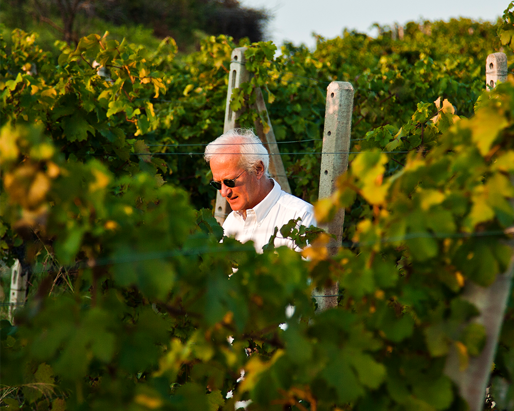 Az. Agr. Marchesi di Grésy