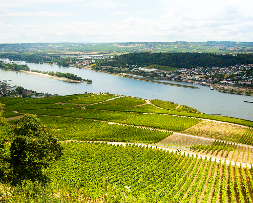 Das Weinbaugebiet an der Nahe