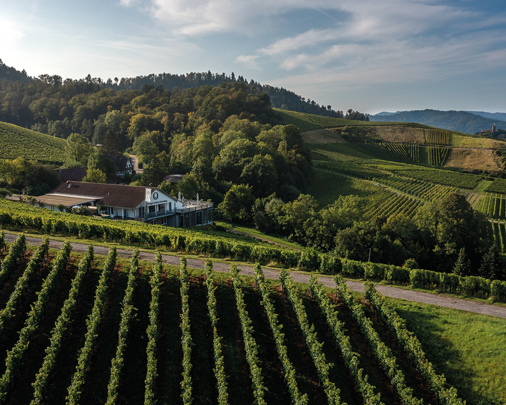 Weingut Schloss Ortenberg