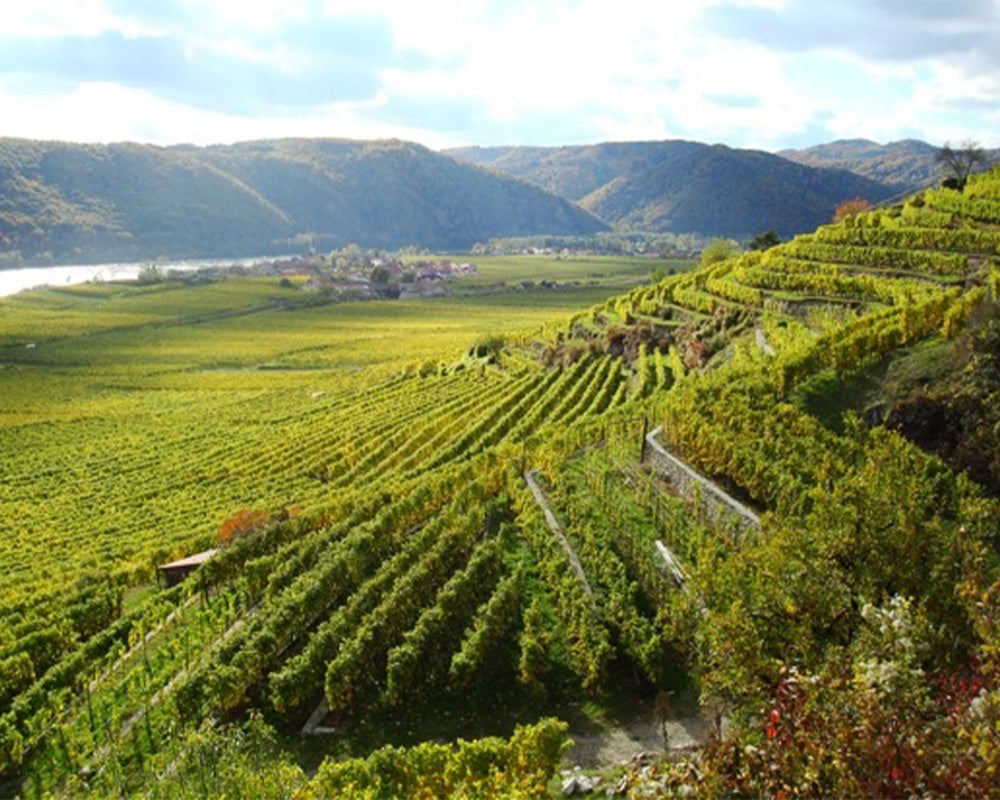 Weingut Veyder-Malberg