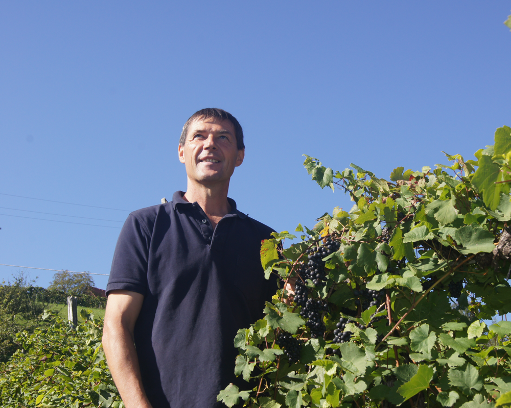 Winzer Markus Klug