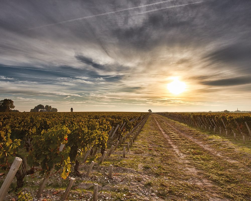 Chateau Pichon-Longueville Lalande