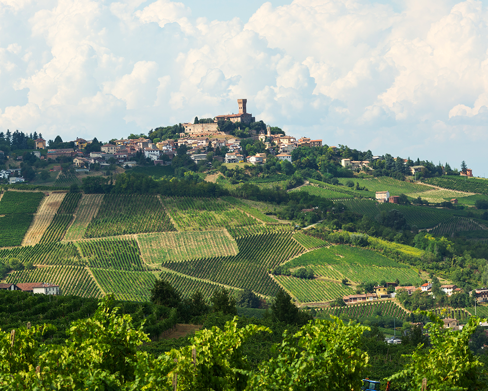 Weinbaugebiet in der Lombardei