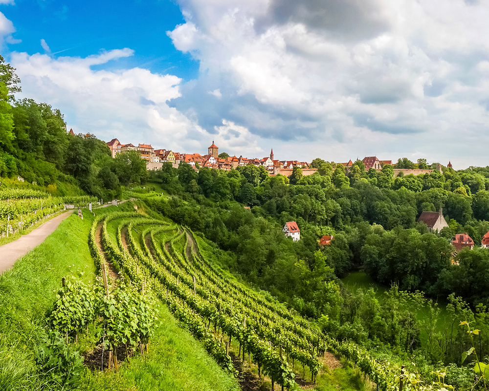 Weinbau in Franken