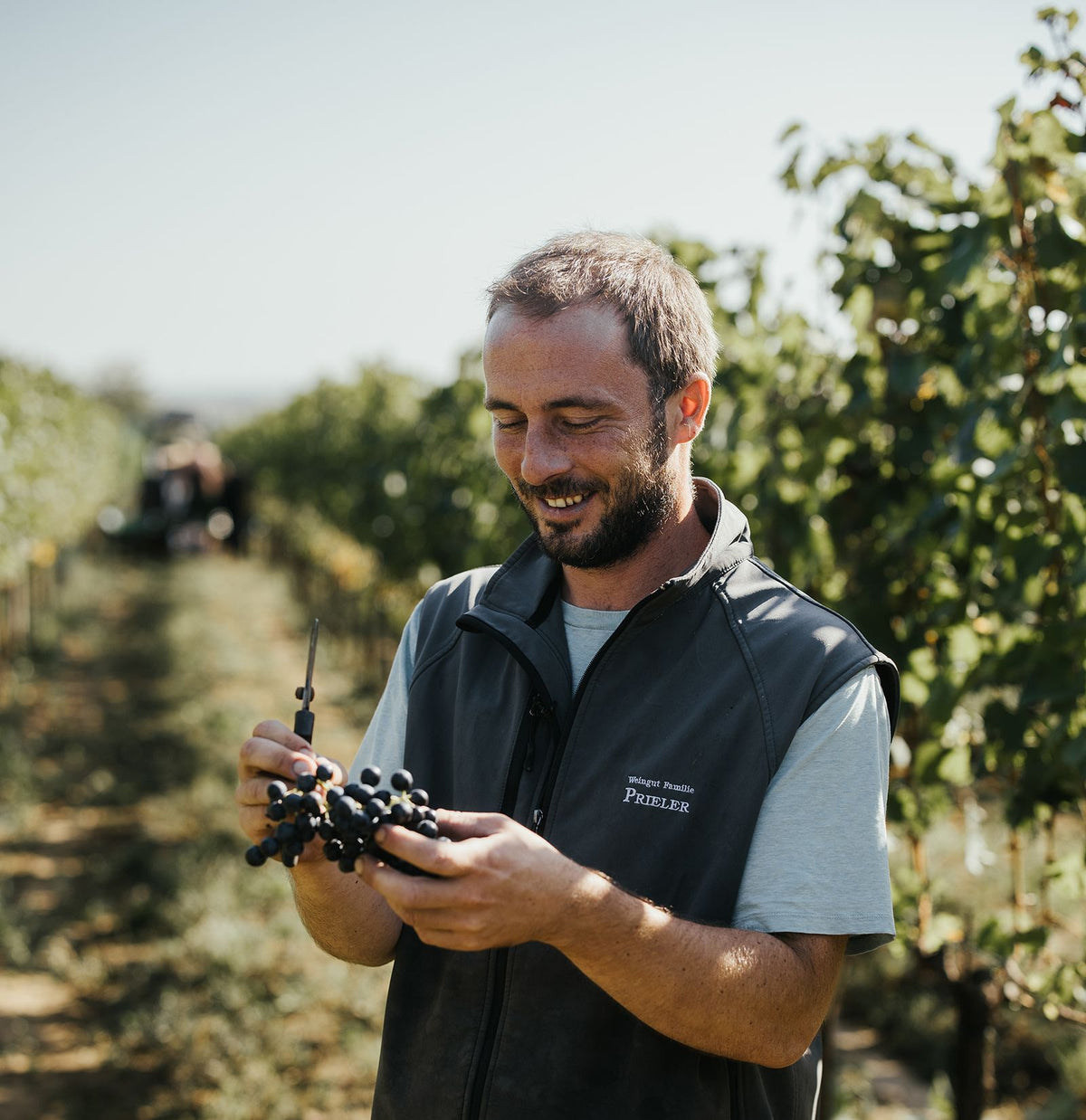 Weingut Georg Prieler Bild 1