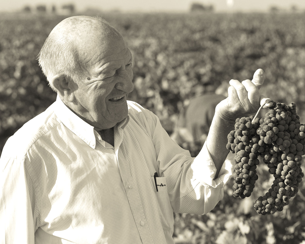 Tinto Pesquera