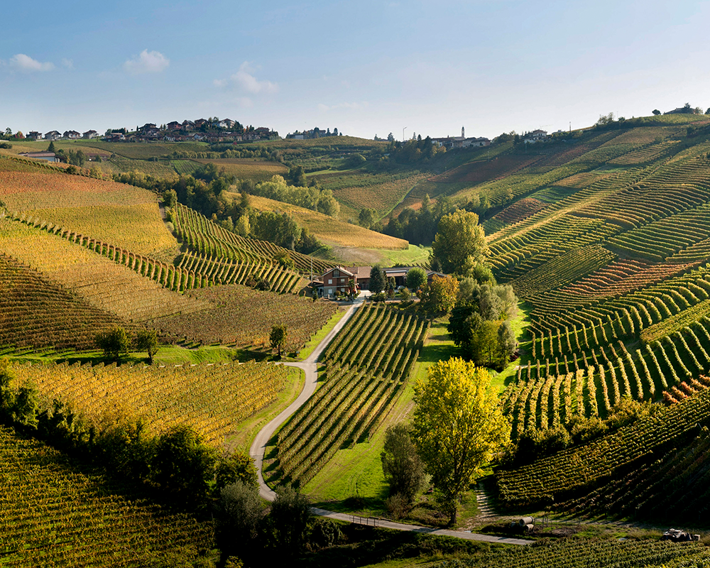 Ein wunderbarer Ausblick auf die Weinberge im Piemont