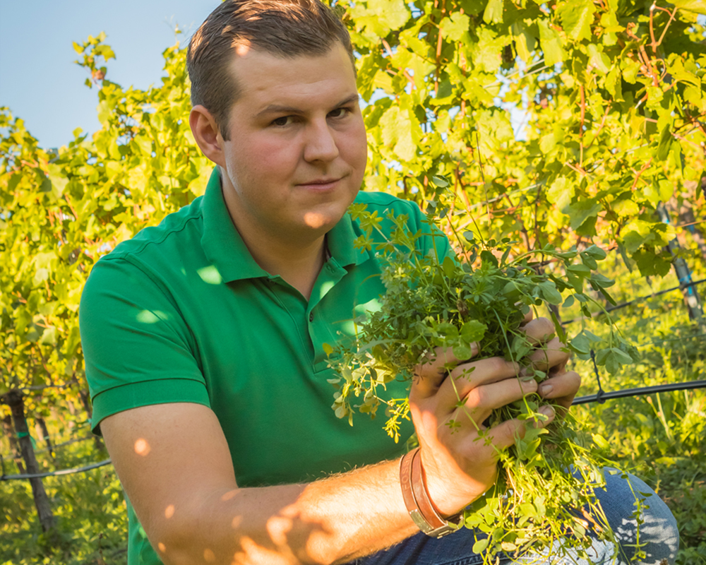 Weingut Alphart am Mühlbach