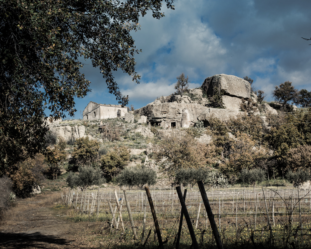 Weinanbau in der Alta Mora