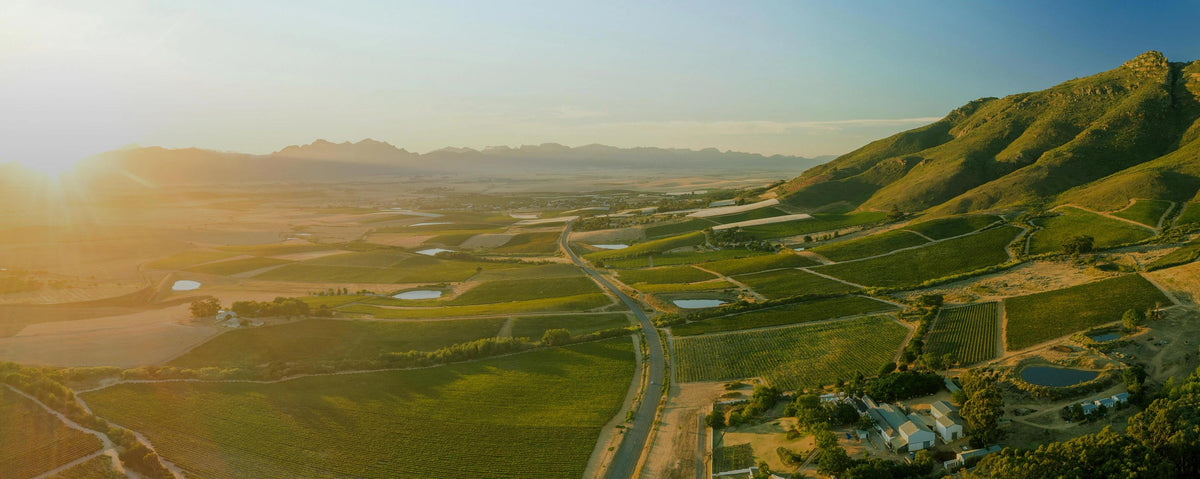 Distell Winery Bild 1