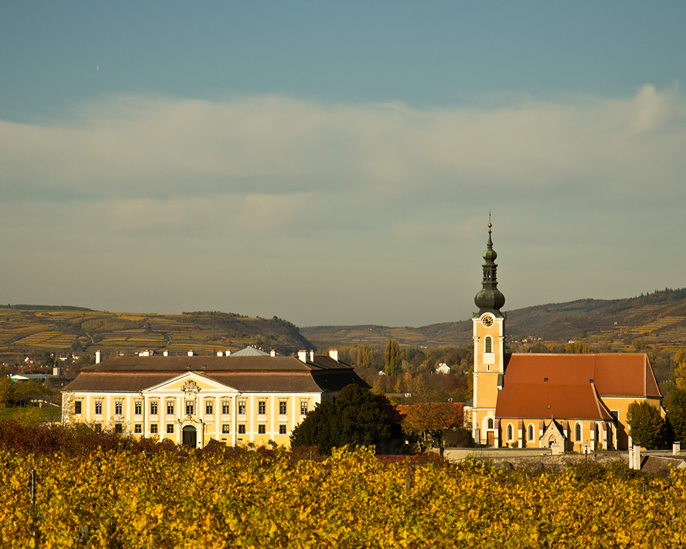 Schloss Gobelsburg im Weinbaugebiet Kamptal