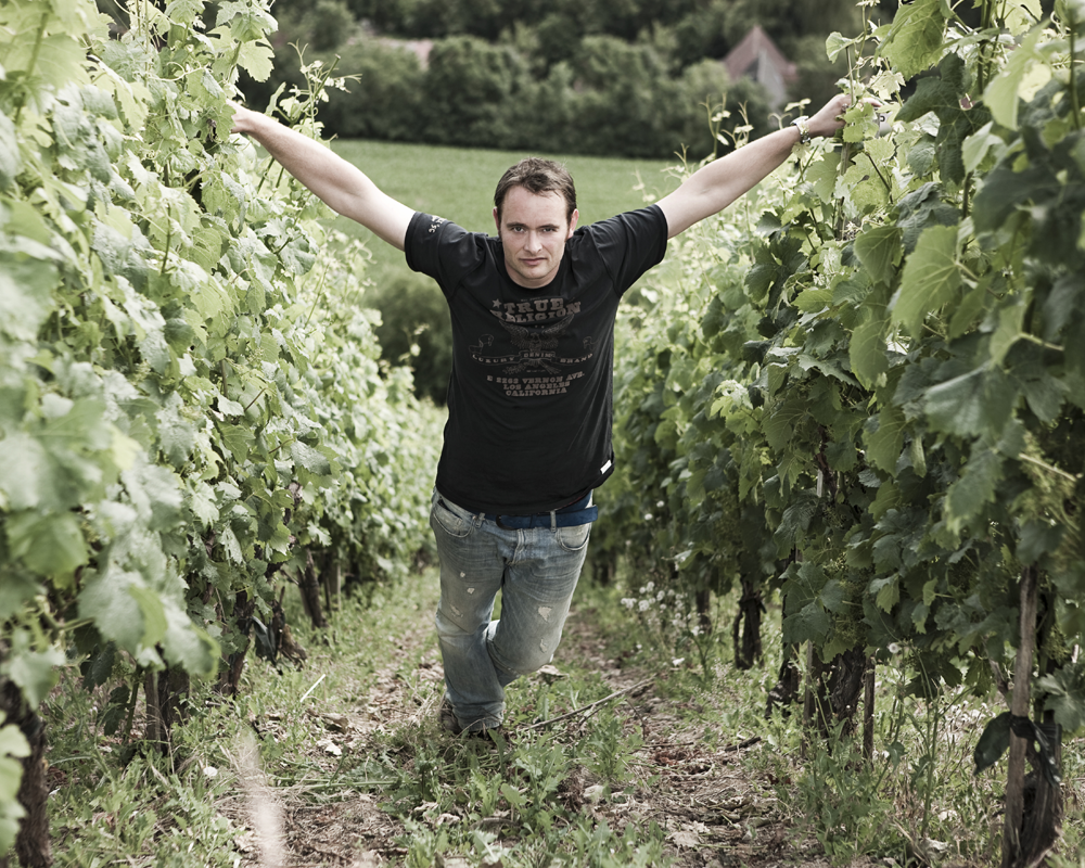 Der Winzerhof Stahl in Franken