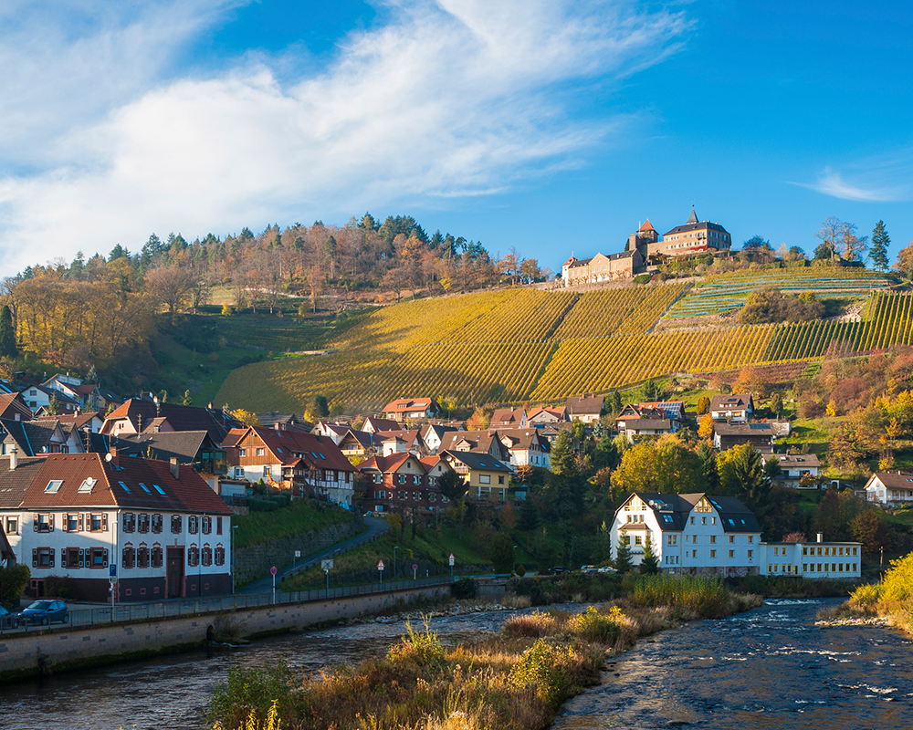 Schöne Aussicht auf die Badener Weinberge