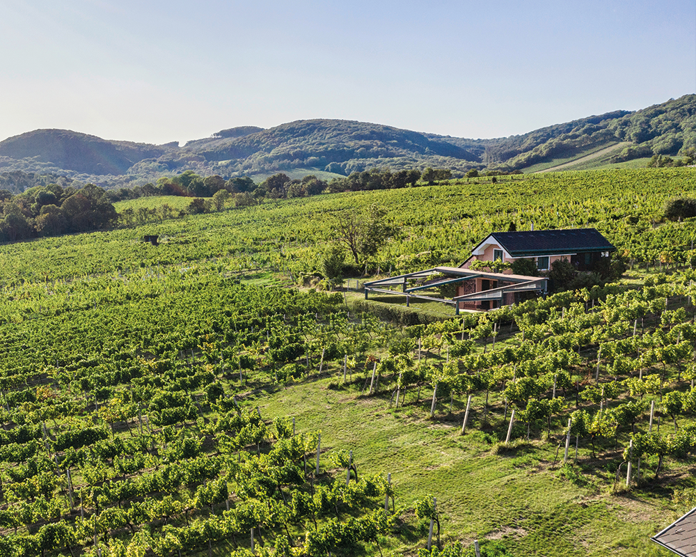 Weingut Rotes Haus