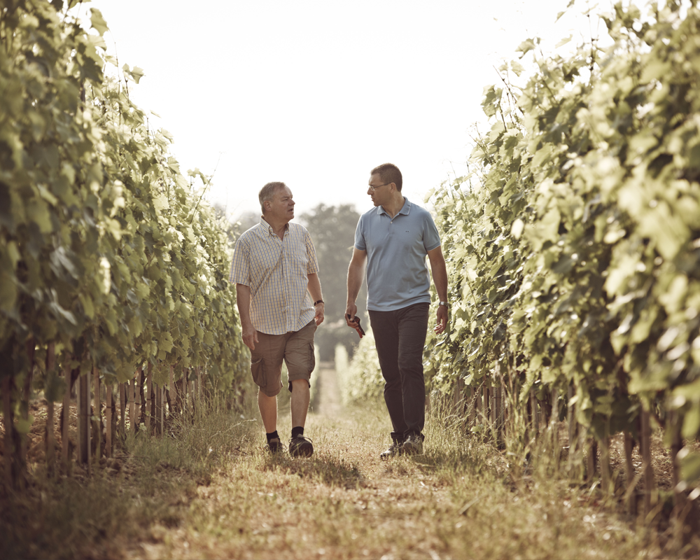 Weingut Bindella