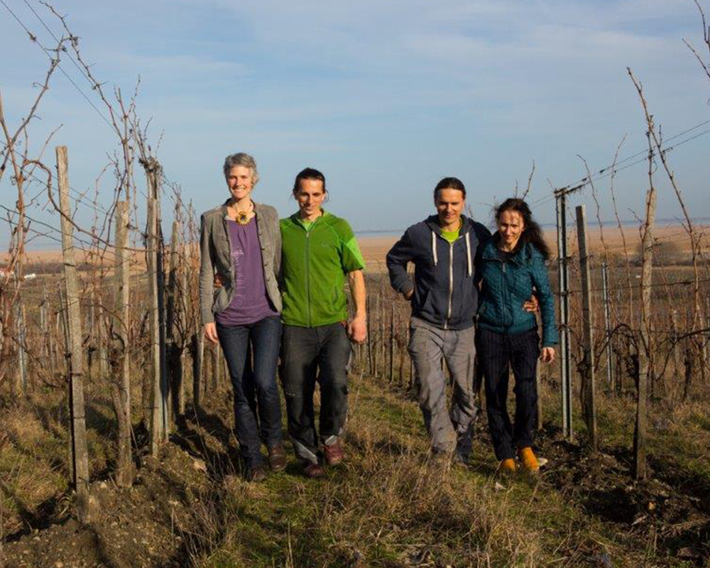 Weingut Triebaumer
