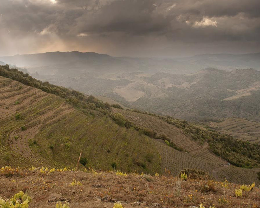 Priorat
