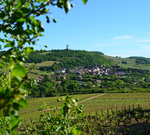 Domaine de Villaine