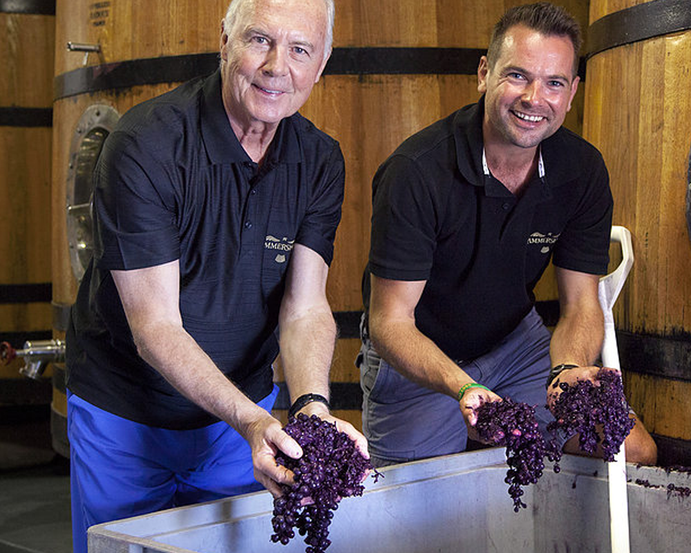 Weingut Lammershoek