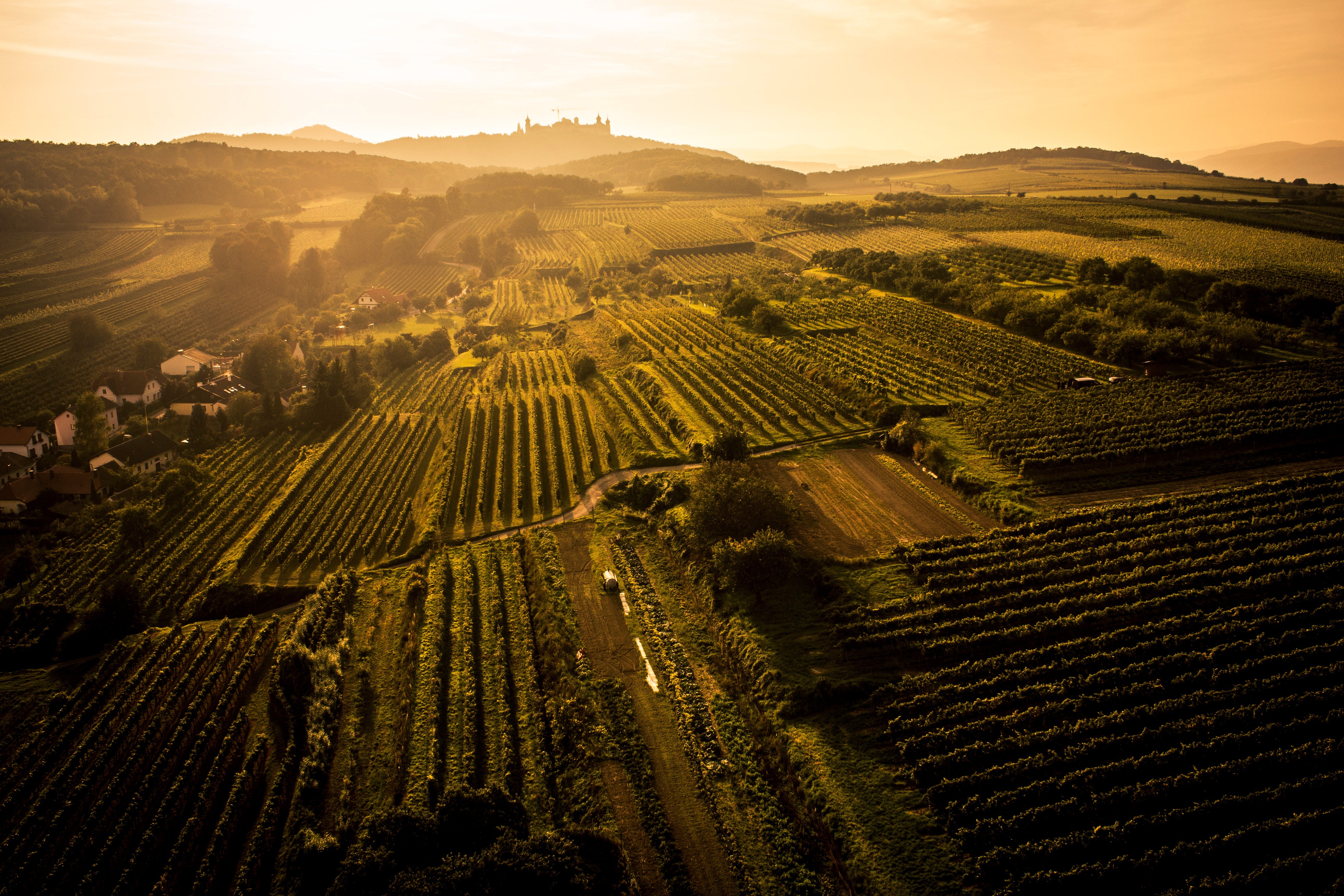 Die Familie des Weingut Müller