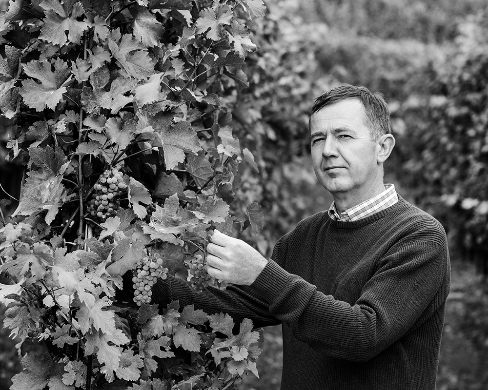 Weingut Nigl