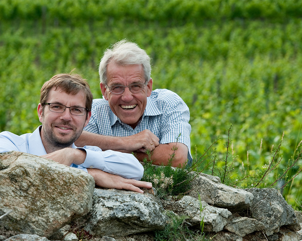 Weingut Knoll