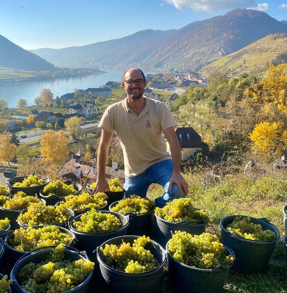 Weingut Atzberg Bild 1