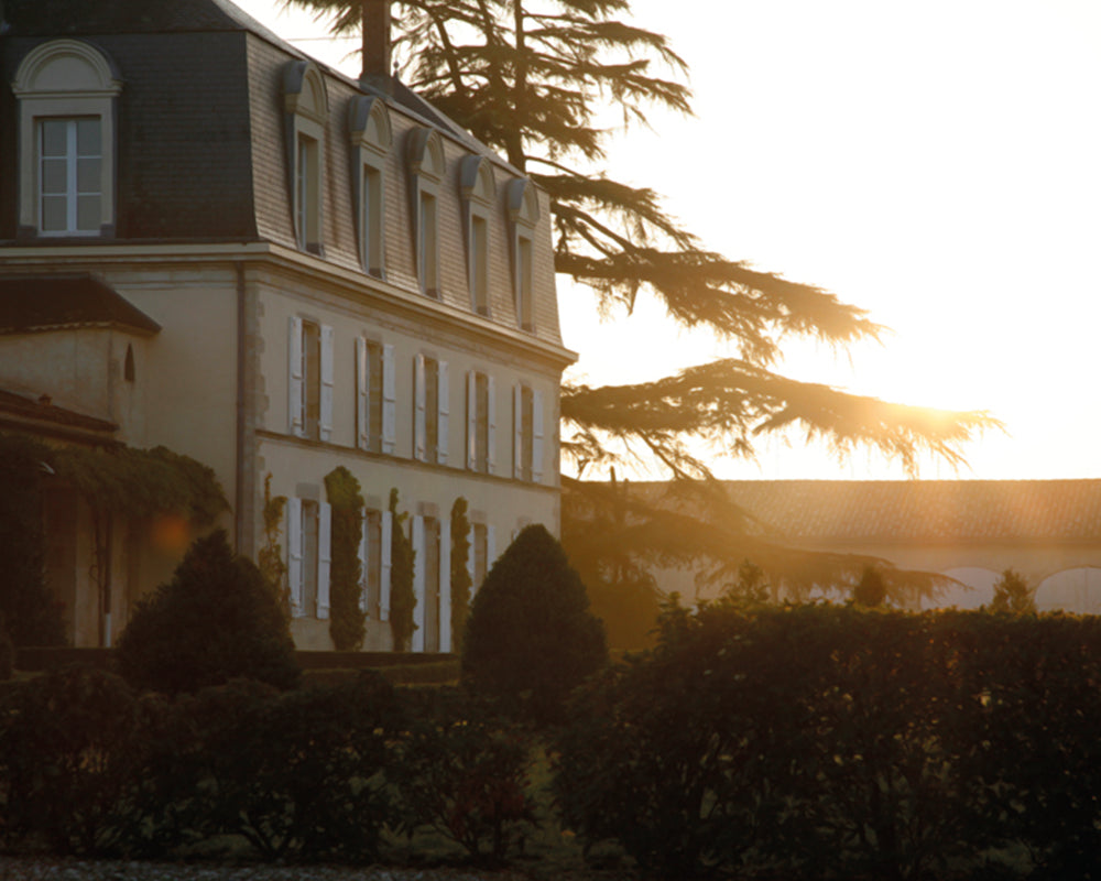 Château Guiraud