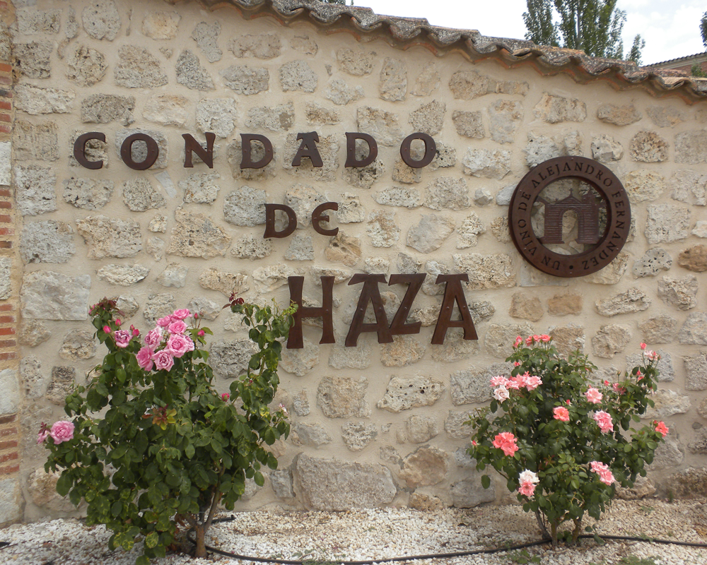 Condado de Haza
