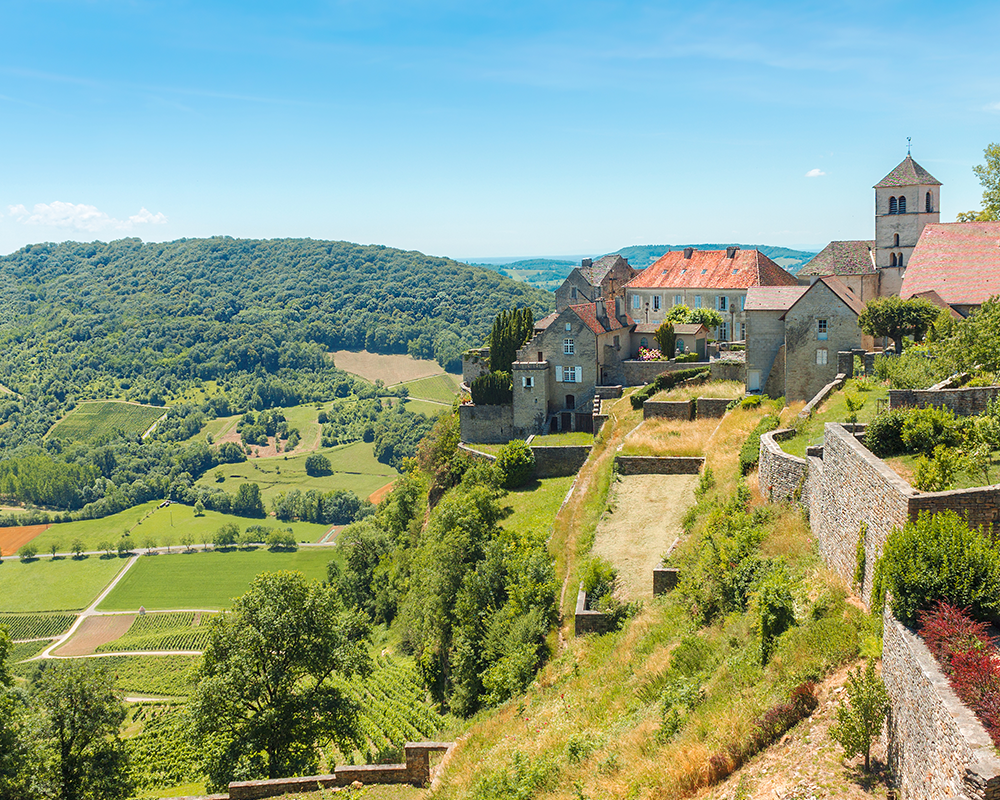 Weinbau in der Region Jura