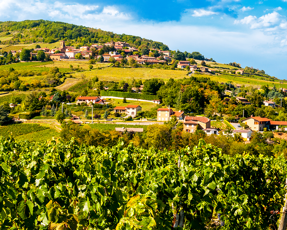 Cotes du Rhone