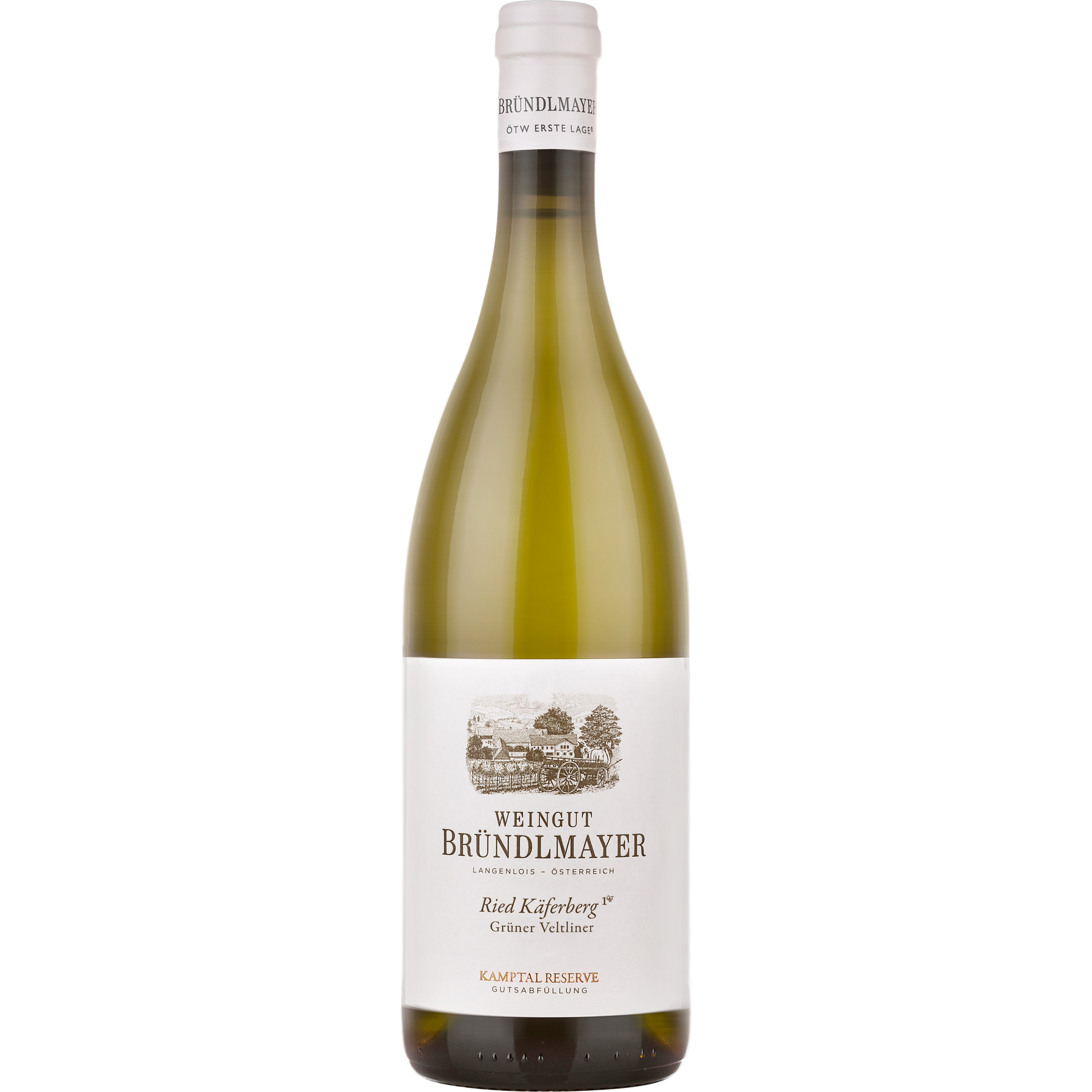 Grüner Veltliner Käferberg 1 ÖTW Kamptal DAC Reserve 2023