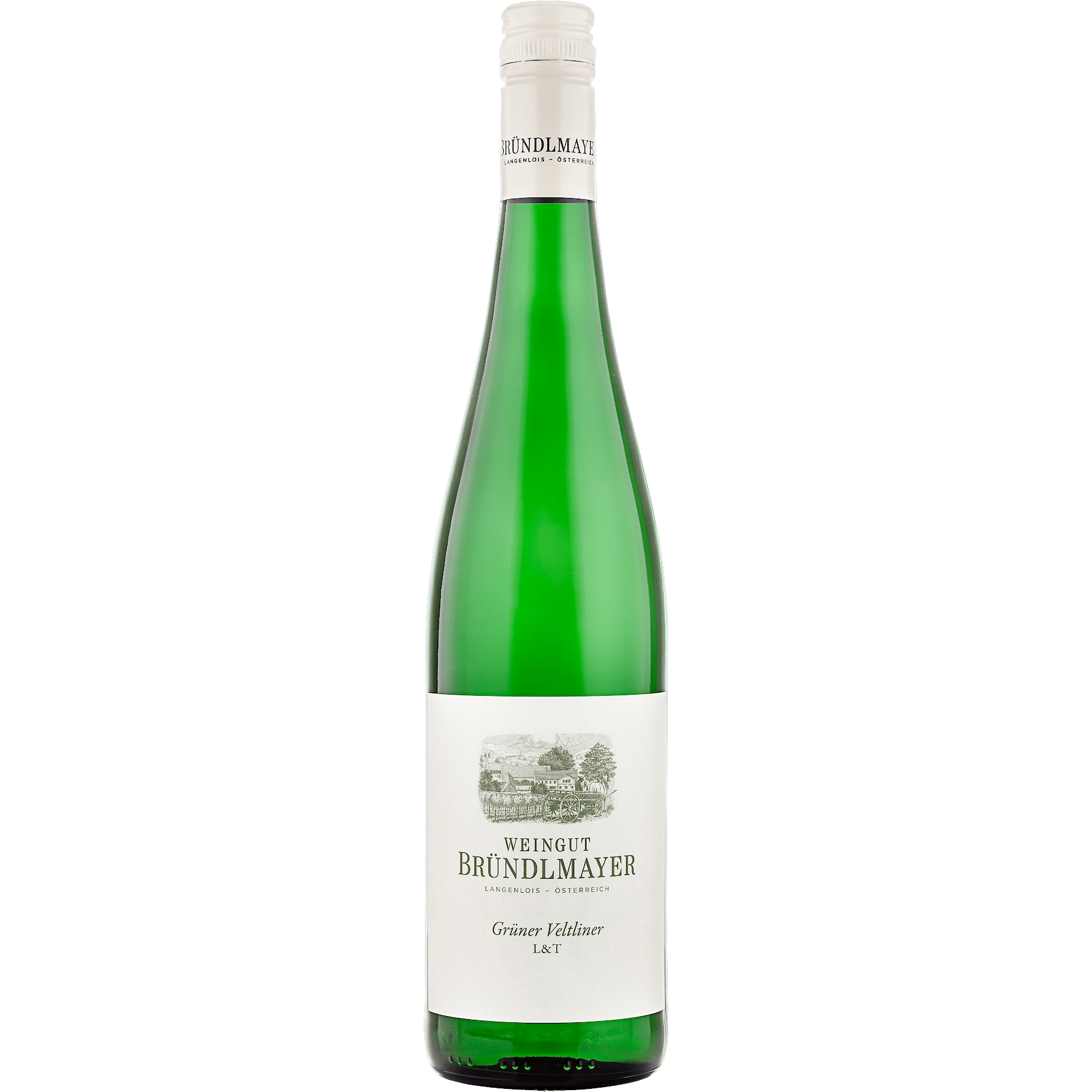 Grüner Veltliner Leicht & Trocken 2025
