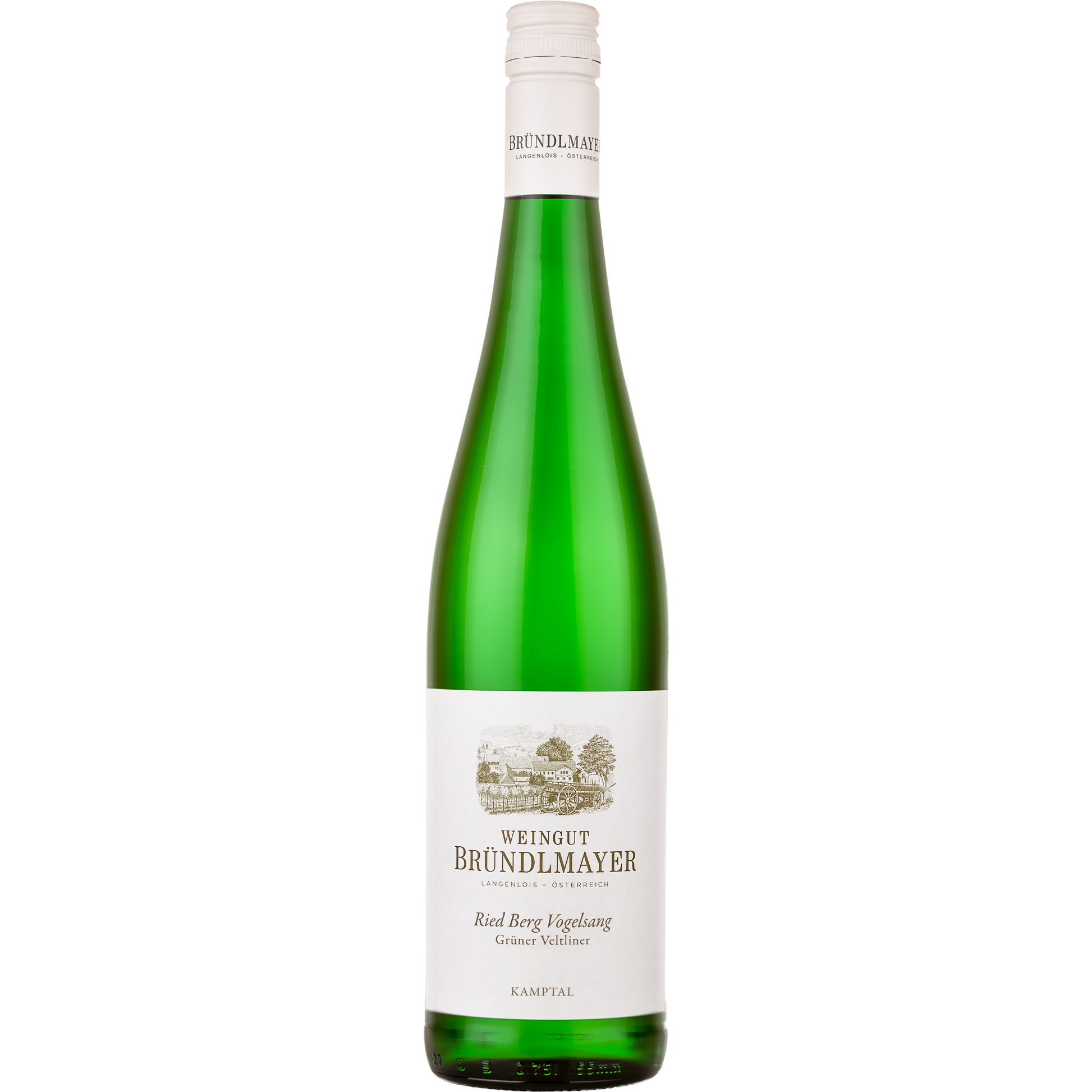 Grüner Veltliner Ried Berg Vogelsang Kamptal DAC 2024