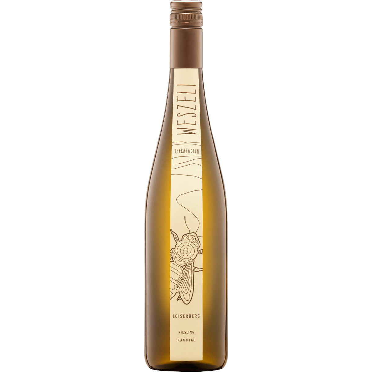 Riesling Ried Loiserberg 1ÖTW Kamptal DAC 2023