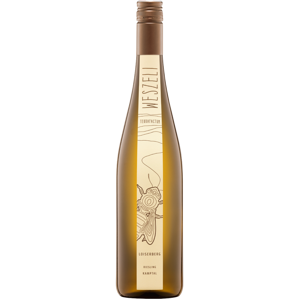 Riesling Ried Loiserberg 1ÖTW Kamptal DAC 2023