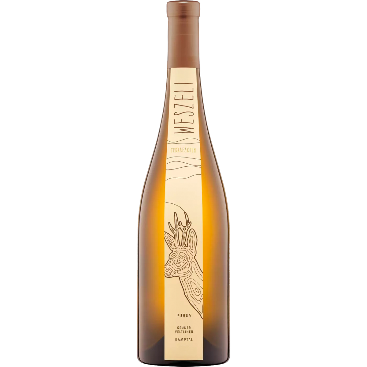 Grüner Veltliner Purus Kamptal DAC Reserve 2021