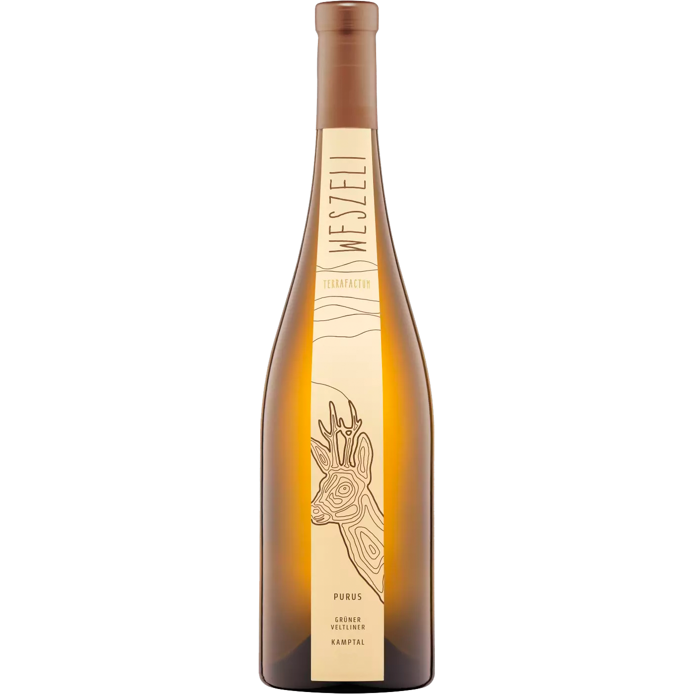 Grüner Veltliner Purus Kamptal DAC Reserve 2021