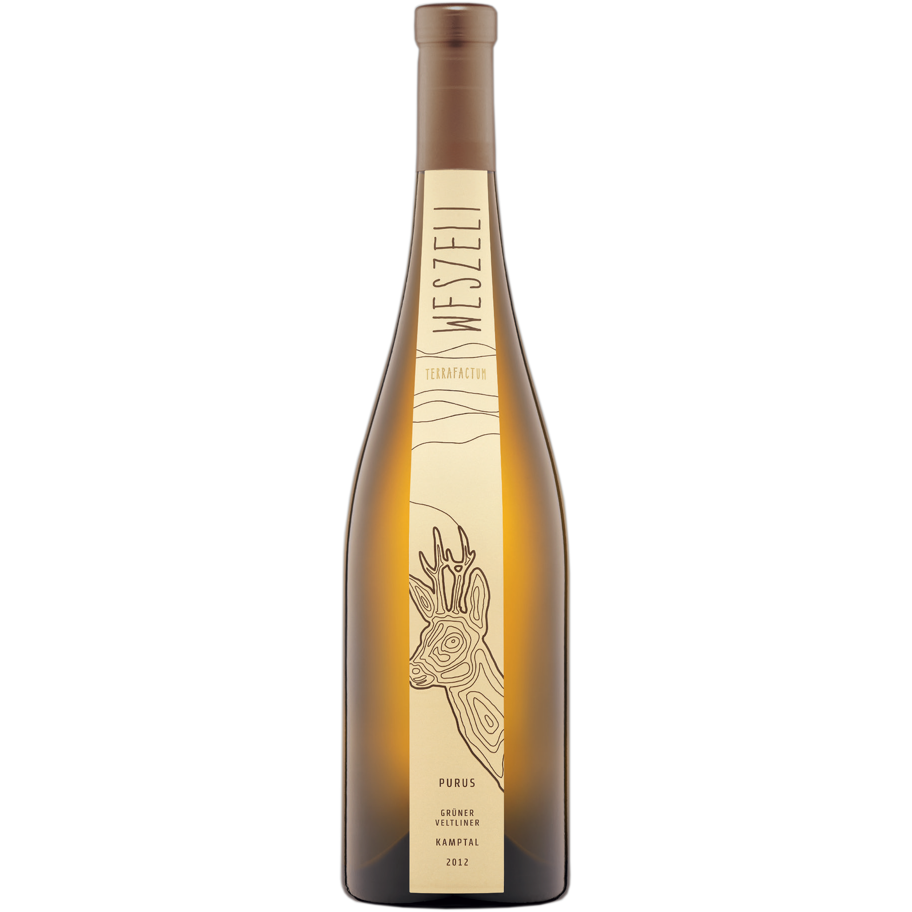 Grüner Veltliner Purus Kamptal DAC Reserve 2021