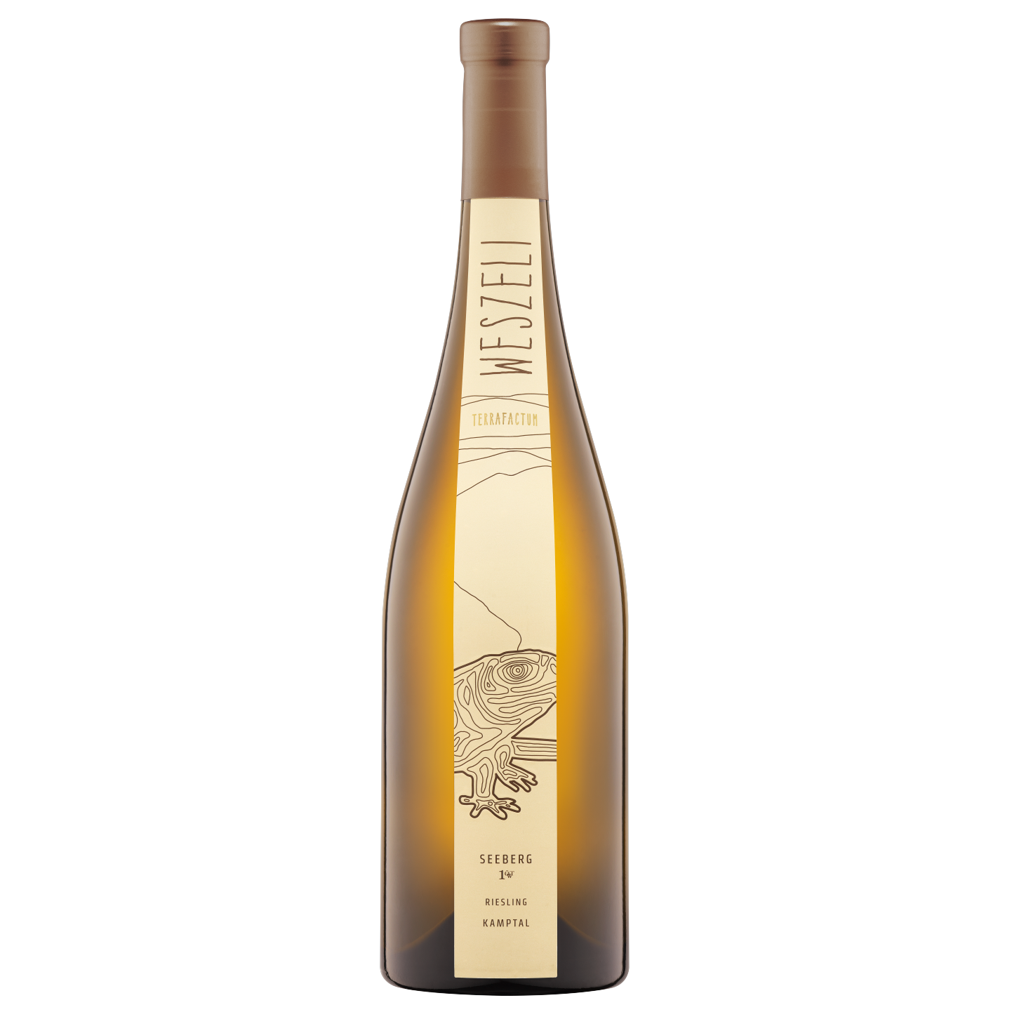 Riesling Ried Seeberg 1ÖTW Kamptal DAC Reserve 2020