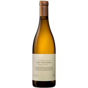 Ried Ungerberg Grüner Veltliner Schützen am Gebirge 2024