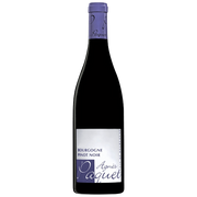 Pinot Noir Bourgogne Rouge 2024