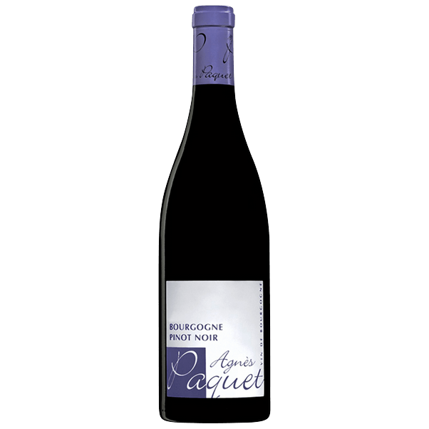 Pinot Noir Bourgogne Rouge 2024