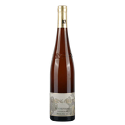 Riesling Rothenberg wurzelecht 2022