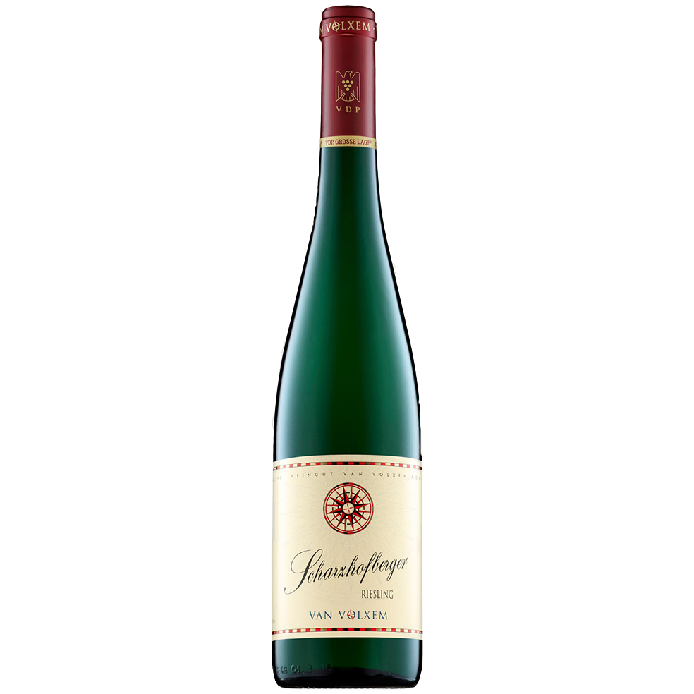 Riesling Scharzhofberger Grosses Gewächs VDP 2023