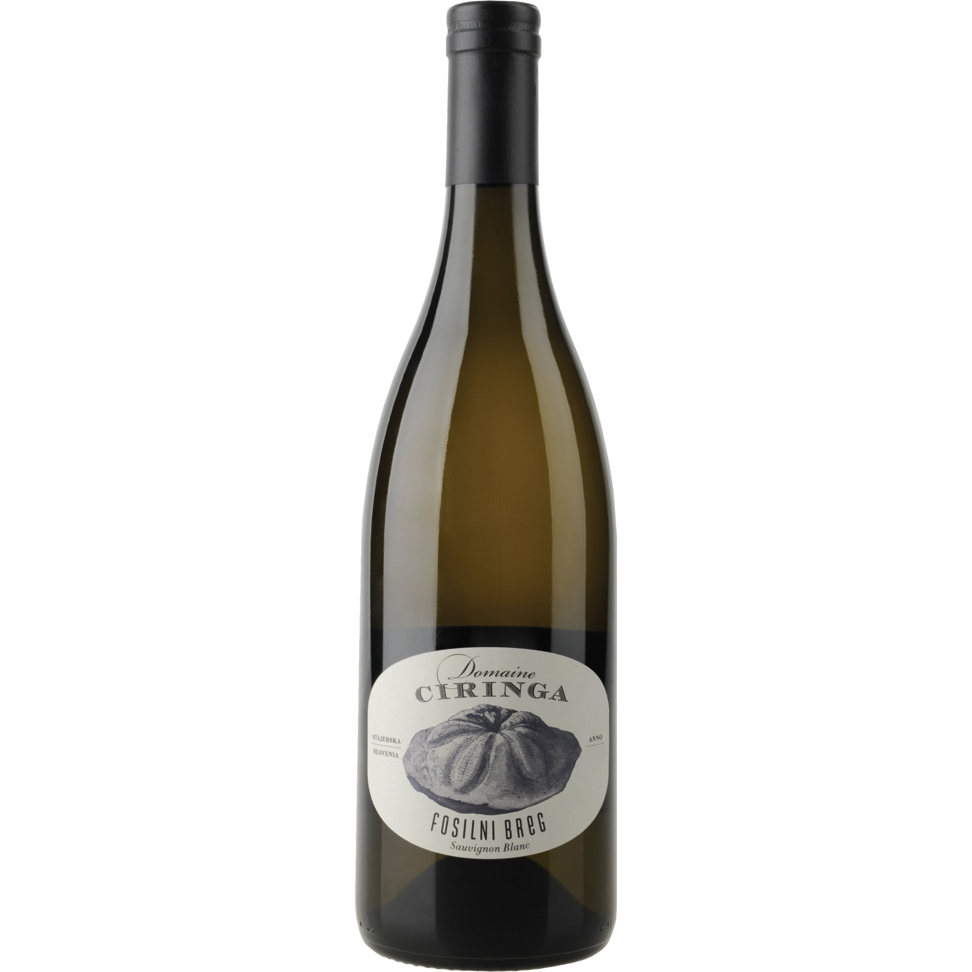 Sauvignon Blanc Fosilni Breg 2023