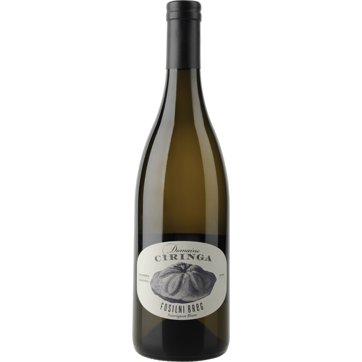 Sauvignon Blanc Fosilni Breg 2024